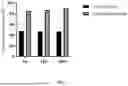 Fig. 02 - PREPARATION METHOD OF MESENCHYMAL STEM CELL (MSC) AND APPLICATION THEREOF IN KNEE PRODUCT