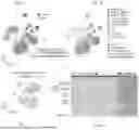 Fig. 02 - SINGLE-CELL ATAC-SEQ COMPATIBLE WITH 5' RNA-SEQ