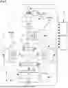 Fig. 02 - APPARATUS AND METHOD FOR MEASURING A THREE DIMENSIONAL SHAPE