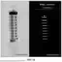 Fig. 08 - SYSTEMS AND METHODS FOR VISION-BASED MEASUREMENT OF LIQUID LEVEL IN CONTAINERS HAVING LINEAR SCALES