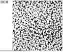 Fig. 06 - MICROLENS ARRAY AND SOLID-STATE IMAGING DEVICE