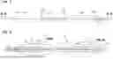 Fig. 07 - FIBER OPTIC CABLE WITH FLEXIBLE CONDUIT