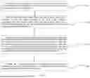 Fig. 02 - EYE MOVEMENT DATA VISUALIZATION METHOD, DEVICE, AND STORAGE MEDIUM BASED ON GAZE TRAJECTORY