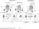 Fig. 03 - RECONSTRUCTIVE LATENT-SPACE NEURAL RADIANCE FIELDS (RELS-NERF) FOR 3D SCENE REPRESENTATIONS