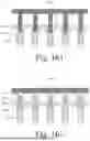Fig. 49 - Electrode Comprising a Plurality of Deformable, Proximally-Diverging Electroconductive Protrusions