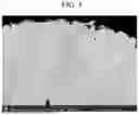 Fig. 06 - POSITIVE ELECTRODE ACTIVE MATERIAL, PREPARATION METHOD THEREOF, POSITIVE ELECTRODE, AND RECHARGEABLE LITHIUM BATTERIES