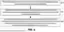 Fig. 06 - Methods for Configuring Polarization Modes in a Non-Terrestrial Network (NTN)