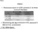Fig. 06 - FACTOR VIII (FVIII) GENE THERAPY METHODS