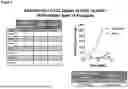 Fig. 09 - FACTOR VIII (FVIII) GENE THERAPY METHODS