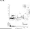 Fig. 19 - FACTOR VIII (FVIII) GENE THERAPY METHODS