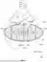 Fig. 07 - WATERSPORT BOARD SIMULATOR AND TRAINING DEVICE