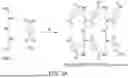 Fig. 04 - PENTA-AMINE-IMPREGNATED ULTRAFILTRATION SUPPORT MATRIX FOR RAPID FABRICATION OF A HYPER-CROSS-LINKED POLYAMIDE MEMBRANE