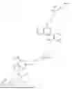 Fig. 20 - ENCODED DESIGN INTEGRATED SYNTHESIS OF NUCLEIC ACIDS, AND PHOSPHOLIPIDS, AND RELATED PHARMACEUTICAL PRODUCTS