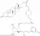 Fig. 136 - HETERODIMER COMPOSITIONS AND METHODS FOR THE TREATMENT OF OCULAR DISORDERS