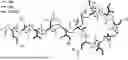 Fig. 01 - ANTIBACTERIAL CYCLOPEPTIDES TARGETING ACINETOBACTER AND OTHER GRAM-NEGATIVE PATHOGENS