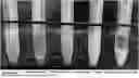 Fig. 01 - METHOD FOR MODIFYING GLIADIN AND APPLICATION THEREOF