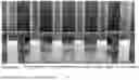 Fig. 02 - METHOD FOR MODIFYING GLIADIN AND APPLICATION THEREOF