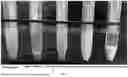 Fig. 05 - METHOD FOR MODIFYING GLIADIN AND APPLICATION THEREOF