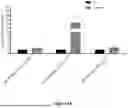 Fig. 02 - MODIFIED LOW MOLECULAR WEIGHT GLUTENIN SUBUNIT AND USES THEREOF