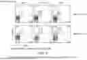 Fig. 07 - COMPOSITIONS AND METHODS FOR TREATMENT OF AUTOIMMUNE AND INFLAMMATORY DISEASES AND DISORDERS