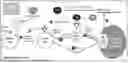 Fig. 01 - BI-SPECIFIC ANTIBODIES AND USE THEREOF