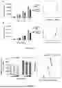 Fig. 12 - BI-SPECIFIC ANTIBODIES AND USE THEREOF