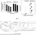 Fig. 13 - BI-SPECIFIC ANTIBODIES AND USE THEREOF