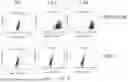 Fig. 10 - DEVELOPMENT OF NOVEL UPAR SINGLE-DOMAIN ANTIBODY