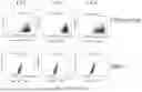 Fig. 11 - DEVELOPMENT OF NOVEL UPAR SINGLE-DOMAIN ANTIBODY
