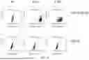 Fig. 12 - DEVELOPMENT OF NOVEL UPAR SINGLE-DOMAIN ANTIBODY