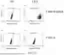Fig. 14 - DEVELOPMENT OF NOVEL UPAR SINGLE-DOMAIN ANTIBODY
