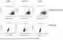 Fig. 17 - DEVELOPMENT OF NOVEL UPAR SINGLE-DOMAIN ANTIBODY