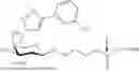 Fig. 331 - OLIGONUCLEOTIDE-LIGAND CONJUGATES AND PROCESS FOR THEIR PREPARATION
