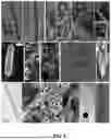 Fig. 05 - METHOD AND APPARATUS FOR MAKING CARBON NANOMATERIALS USING A LOW-LITHIUM ELECTROLYTE