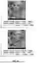 Fig. 12 - METHOD AND APPARATUS FOR MAKING CARBON NANOMATERIALS USING A LOW-LITHIUM ELECTROLYTE