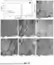 Fig. 16 - METHOD AND APPARATUS FOR MAKING CARBON NANOMATERIALS USING A LOW-LITHIUM ELECTROLYTE