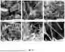 Fig. 18 - METHOD AND APPARATUS FOR MAKING CARBON NANOMATERIALS USING A LOW-LITHIUM ELECTROLYTE