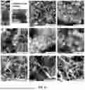 Fig. 20 - METHOD AND APPARATUS FOR MAKING CARBON NANOMATERIALS USING A LOW-LITHIUM ELECTROLYTE