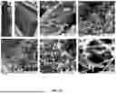 Fig. 22 - METHOD AND APPARATUS FOR MAKING CARBON NANOMATERIALS USING A LOW-LITHIUM ELECTROLYTE