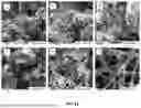 Fig. 23 - METHOD AND APPARATUS FOR MAKING CARBON NANOMATERIALS USING A LOW-LITHIUM ELECTROLYTE