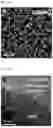 Fig. 04 - NATURAL MOLECULE-DERIVED ORGANIC MATERIAL-METAL COMPLEX THIN FILM PROTECTION LAYER AND METHOD FOR PRODUCING SAME