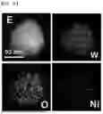 Fig. 07 - NATURAL MOLECULE-DERIVED ORGANIC MATERIAL-METAL COMPLEX THIN FILM PROTECTION LAYER AND METHOD FOR PRODUCING SAME
