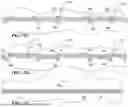 Fig. 76 - Method And Tool for Joining Side-Lapped Seams Of Steel Deck Panels And Steel Deck Structure Incorporating Interlocking Side-Lapped Seams