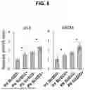 Fig. 09 - REAGENTS AND METHODS FOR PREPARING ROBUST MESENCHYMAL STROMAL CELLS FOR THERAPY