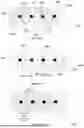Fig. 07 - CURRENT SENSOR