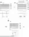 Fig. 02 - Methods for Extreme Ultraviolet (EUV) Resist Patterning Development