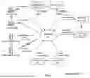 Fig. 02 - PROCESSING A CONTRADICTION IN A KNOWLEDGE DATABASE