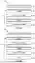 Fig. 03 - DEPOSITION OF ORGANIC MATERIAL