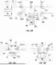 Fig. 07 - FIBER OPTIC NETWORKS, OPTICAL NETWORK UNITS AND METHODS FOR CONFIGURING SPLIT RATIOS OF VARIABLE RATIO COUPLERS WITHIN OPTICAL NETWORK UNITS