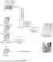 Fig. 49 - IMAGE PROCESSING METHOD AND ELECTRONIC DEVICE